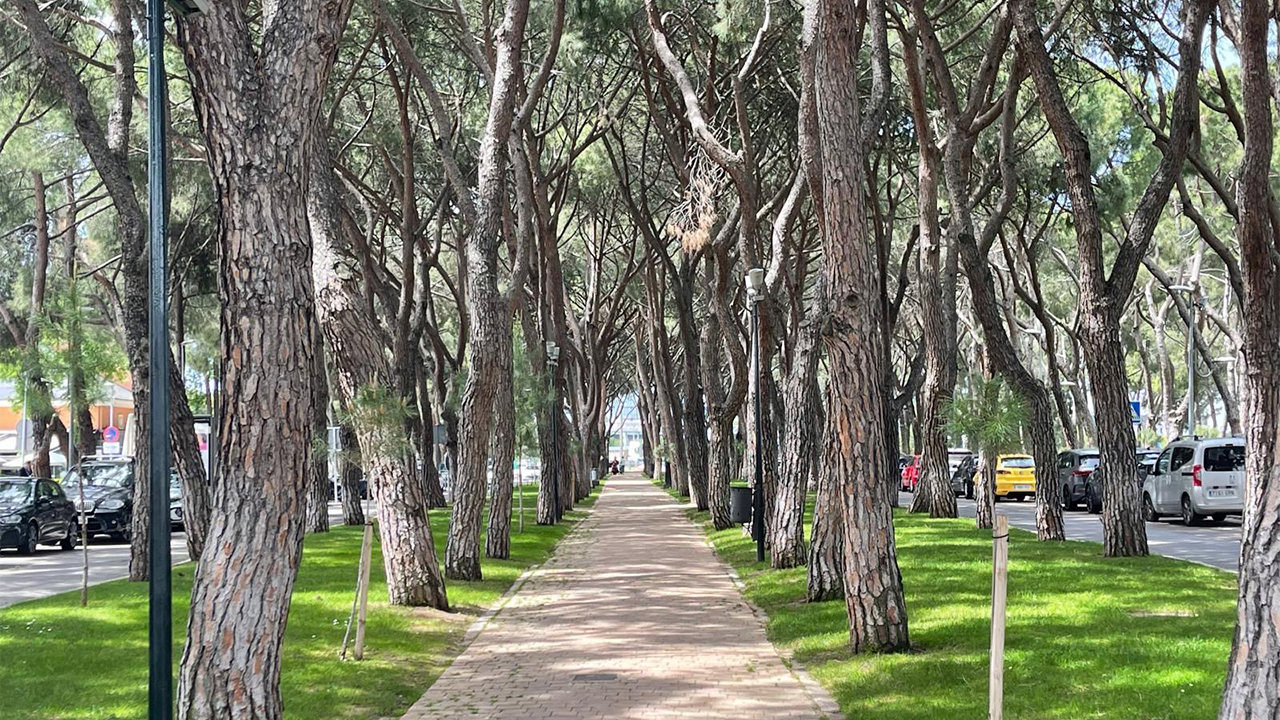 Sin-título-1_0001_99c2a763-5aac-4650-aba1-a0f34cc8cbcf